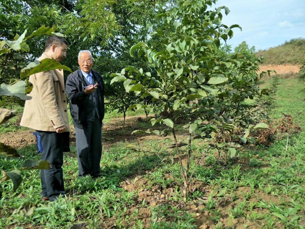 mmexport1544016954960