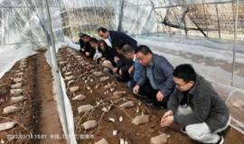 mmexport1647849164900