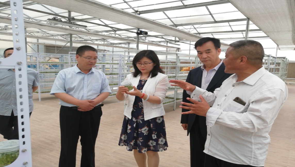 说明: C:\Users\DELL\Desktop\IMG_20200604_161006.jpg