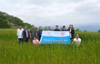 da994fd0e838c0a48bed717ba5db1d6