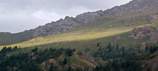 e005a8d0008b9736529ae9be3edf36d